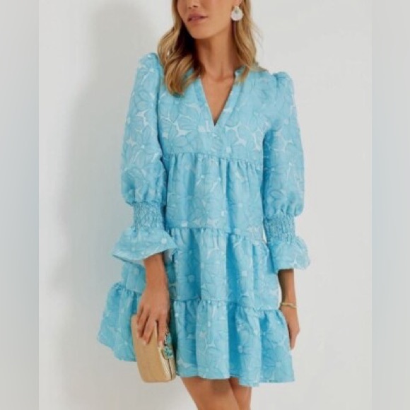 Tuckernuck Dresses & Skirts - Pomander Place Blue Daisy Jacquard Kenzo Dress XL